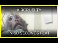 AirCruelty in 60 Seconds - YouTube