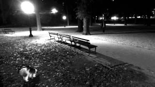 Central Park in The Dark (A short film dedicated to Charles Ives)