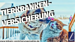 Tierkrankenversicherung | Krankenversicherung für unseren Vierbeiner |
