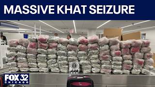More than 1,170 pounds of khat seized at O’Hare, 3 travelers charged