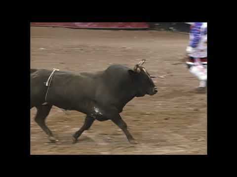 Moody Blues bucks Michael Gaffney - 99 PBR Albuquerque