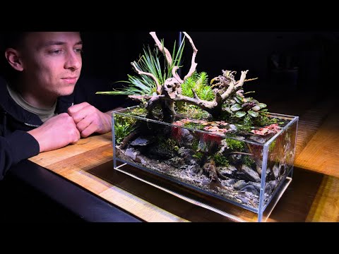 I MADE A MINI INDOOR POND! Step By Step Tutorial