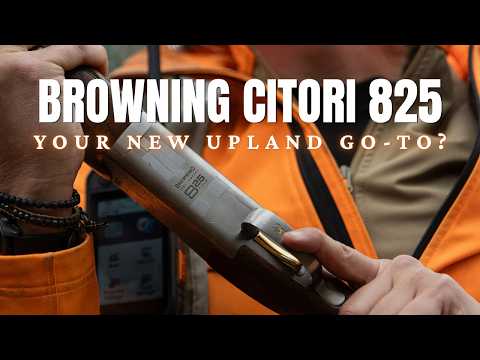 Is the Browning 825 Citori Worth the Upgrade for Upland Hunters?