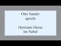 Hermann Hesse „Im Nebel“ II 