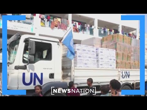 Antisemites are afraid of strong Jews: CEO of Innovation Fund | NewsNation Live