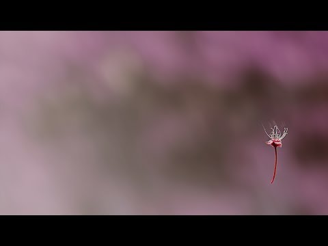 Terry Da Libra - The Butterfly Stroke [Silk Music]