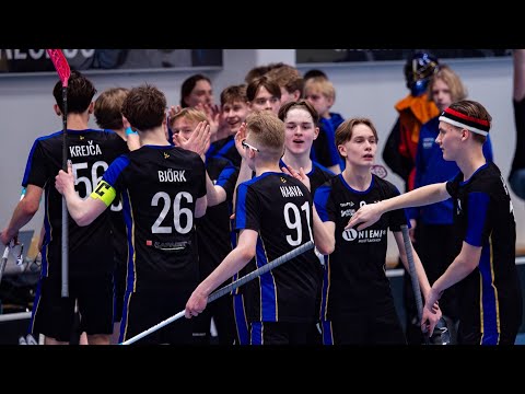 P17: 2. VE EräViikingit - Blackbirds 8.4.2024 maalikooste