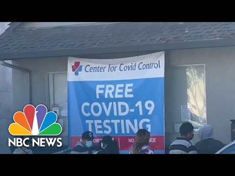 Covid Testing Company Under Investigation Amid Growing ...