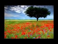 (A Rhyme) This Time  in lyrics  -   Al Jarreau with Earl Klugh
