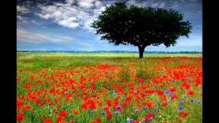 (A Rhyme) This Time  in lyrics  -   Al Jarreau with Earl Klugh