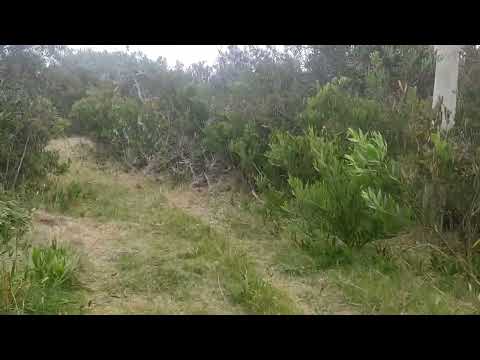 Oceanía del Polonio 29 de noviembre de 2025_3