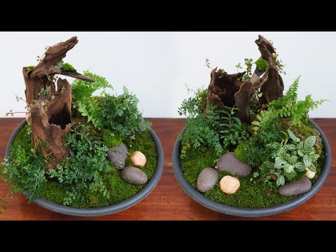, title : 'DIY Tabletop Miniature Garden | How to make a beautiful miniature landscape | Miniature moss garden'