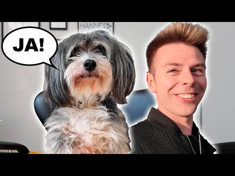 Må kun sige JA til Morten en hel dag