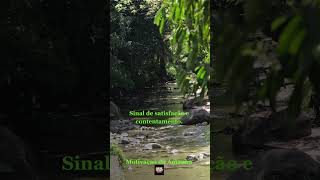 Explorando Lugares Inexplorados: Uma Aventura Além dos Mapas #shortvideo #shorts  #frases #amor