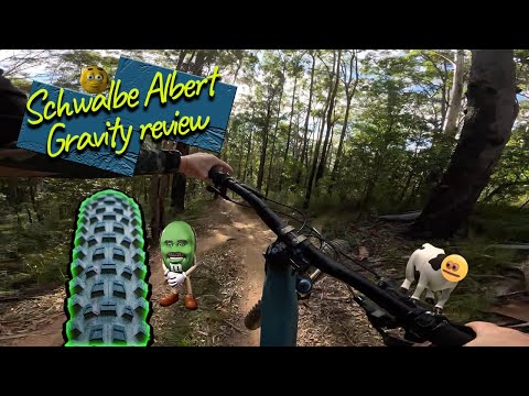 Schwalbe Albert Gravity Review | Pushys Online