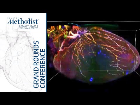 Beyond Catheter Ablation: Neuroscience Inspired Therapies for Arrhythmias (K. Shivkumar MD) 10/14/21