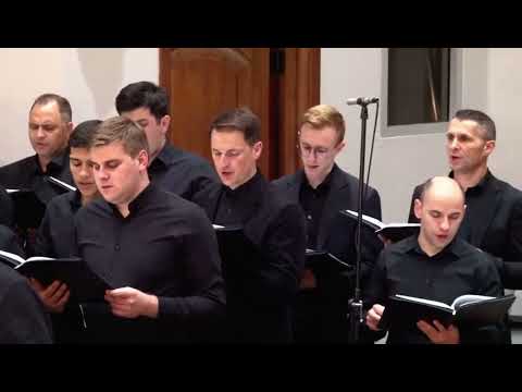 Ostasii lui Hristos - Un peregrin