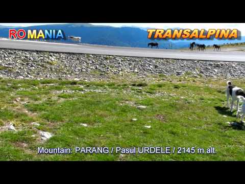 Romania - TRANSALPINA - 2011 July / part 1