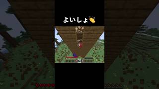 1度やりたかった登り方