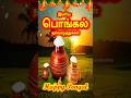 Happy Pongal Whatsapp Status Pongal Whatsapp Status Tamil Happy Pongal Status Happy Pongal 2026