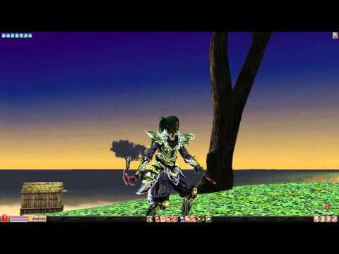 Metin2.Us - Record Damage Vs Assassin