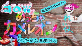 【めっちゃカメレオン】メンツは夜アソ日和なカメレオン　#1【かくれんぼ】