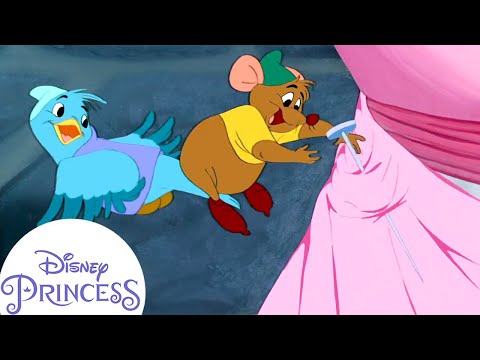 Princess Cin Clips