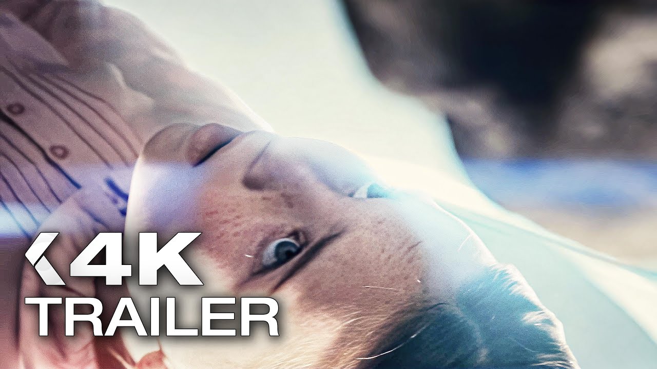 DISCLOSURE DAY Official Final Trailer (2026) Emily Blunt, Steven Spielberg