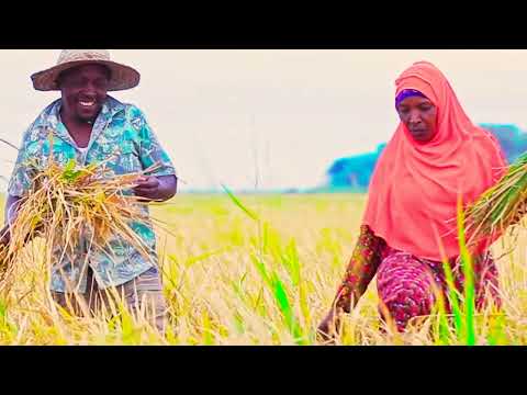 Joh Makini Feat. Ben Pol - Makasia "Kilimo Edition" (Official Video)