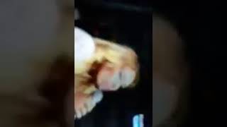 LUISA FERNANDA W CANTA MI REGALO Y OTRA VEZ CON ITZZA, RYAN Y DEJOTA2021 | LE RESPONDE A LOS HATER'S