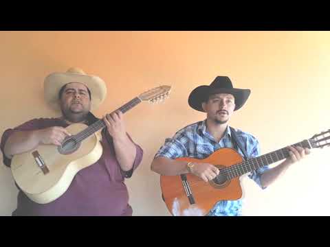 A FORÇA DO MEU GOGÓ.  (THIAGO VIOLA & CARLOS LIMA)