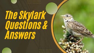 The Skylark Questions &amp; Answers