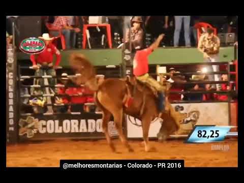 🇧🇷 Rodrigo Pedro Rosa x Pátria - Rodeio de Colorado 2016 #rodeio #cutiano