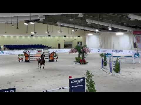 Casanova De Beaufour DXB (Boudheib Equestrian Academy - 140/145cm Special 2 Phase Class)