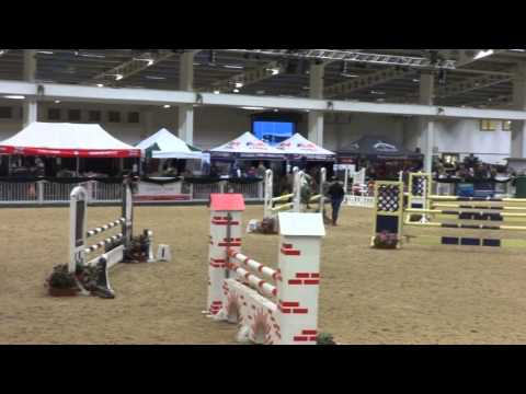 Southerly on Tinx 105 at Aintree 18.11.15 Fifth