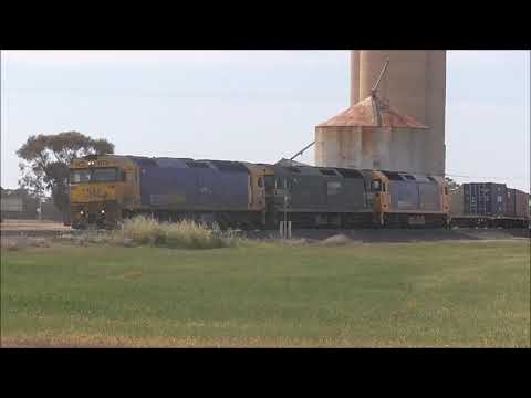 7901V as Litchfield on Saturday 12 October 2024