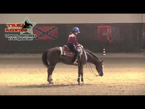 Snafflebit e 4 tappa TRHA 2018 - COPPOLA GINEVRA sul suo SNAPOLEONE con score 69,5