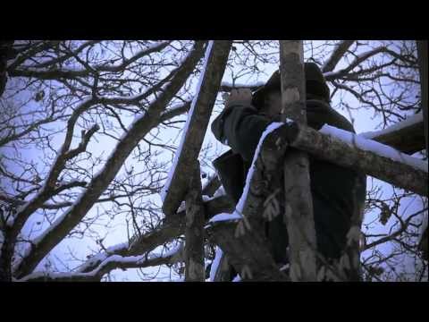 Kapnorth - Metropolis (Official Videoclip)