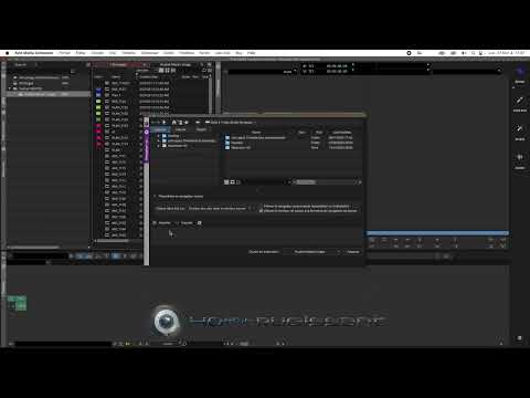 40ème Rugissant - Formation certifiante en montage vidéo et animation 2D sur AVID Media Composer !