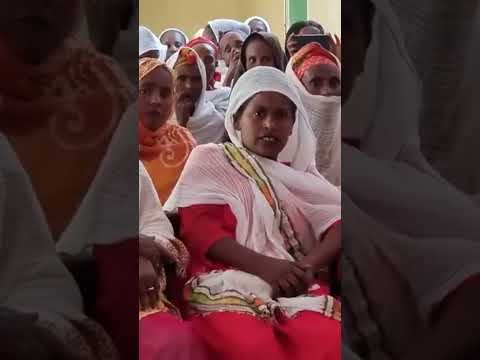 ተጋዳሊት ብርትካን መብራህቱ (ገርየዋኒ) ምስ ቅያ ብንድ ዝትፀወተታ ሓዳሽ ደርፊ