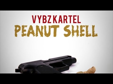 Vybz Kartel - Peanut Shell (Mi Nuh Fraid) [Steppa Riddim] Feb 2013