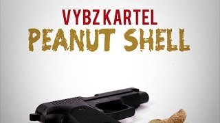 Vybz Kartel - Peanut Shell (Mi Nuh Fraid) [Steppa Riddim] Feb 2013