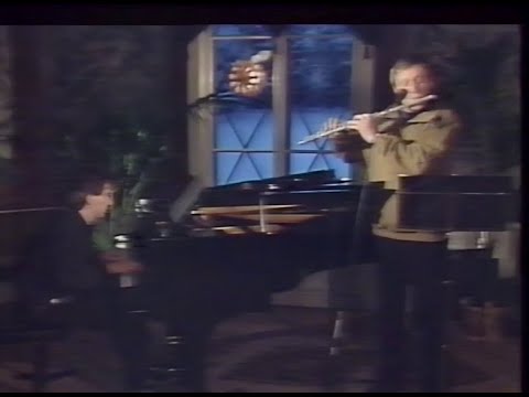 Björn J:son Lindh & Staffan Sheja - Darmstadt Goodbye (Rikets Kultur 1989)