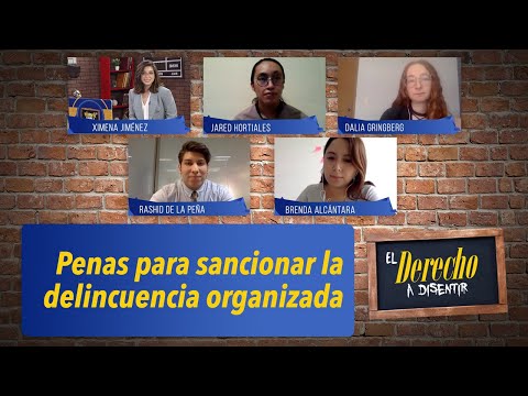 Penas para sancionar la delincuencia organizada