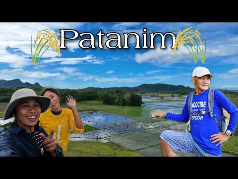 EP-338 P1 | Sabay sabay na patrabaho sa bukid patanim ng palay at sibuyas | Life in the Province