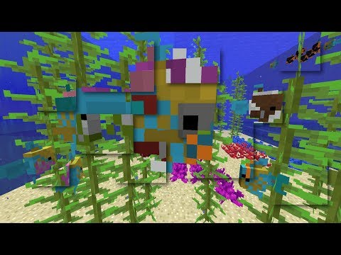 Rainbow Fish in Minecraft 1.13
