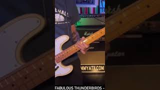 Fabulous Thunderbirds - Full Time Lover #basscover #fenderbass #austin