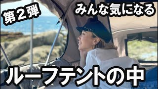 Video 3 trigger image