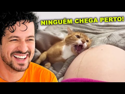 Videos to end boredom.