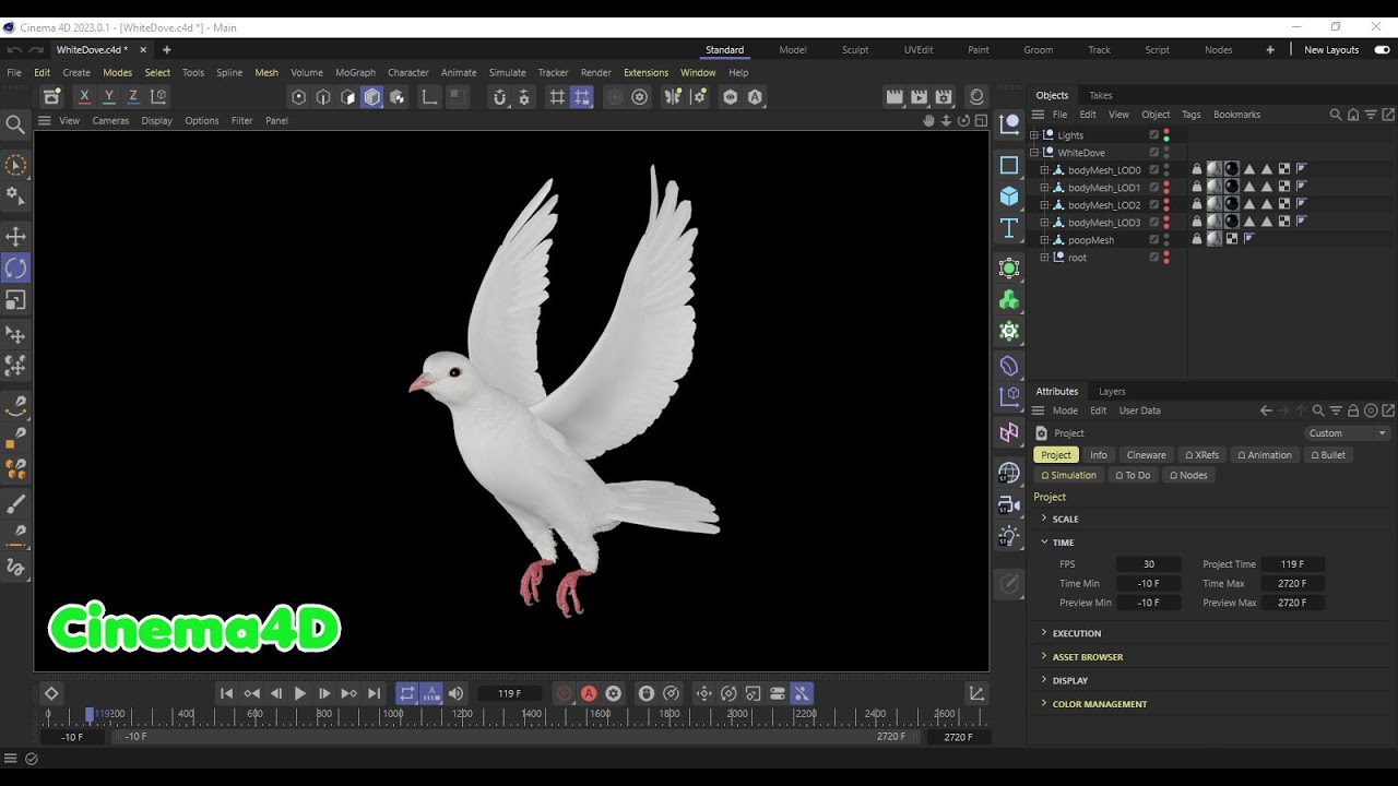 Realistic Animated White Dove Low-poly 3D Model